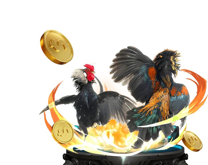 Cẩm nang cá cược VIP Win55